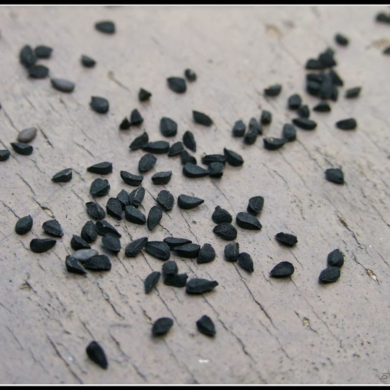 Kalonji Black Seed Hair Oil